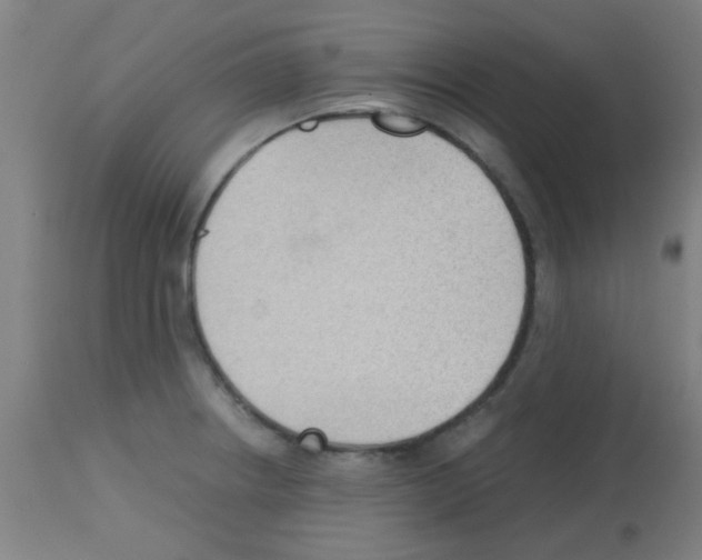 X0000113171234200910161300