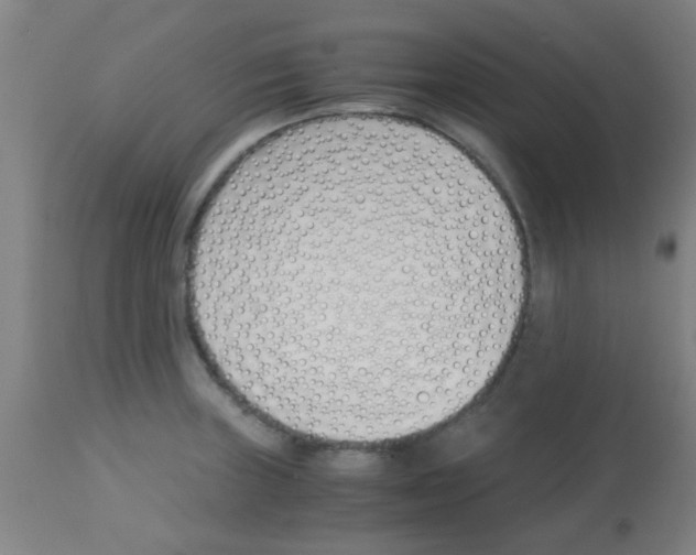 X0000113171235200910161300
