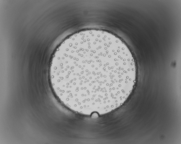 X0000113171237200910161300