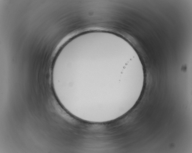 X0000113171238200910161300