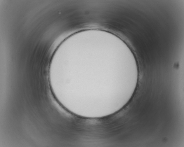 X0000113171239200910161300