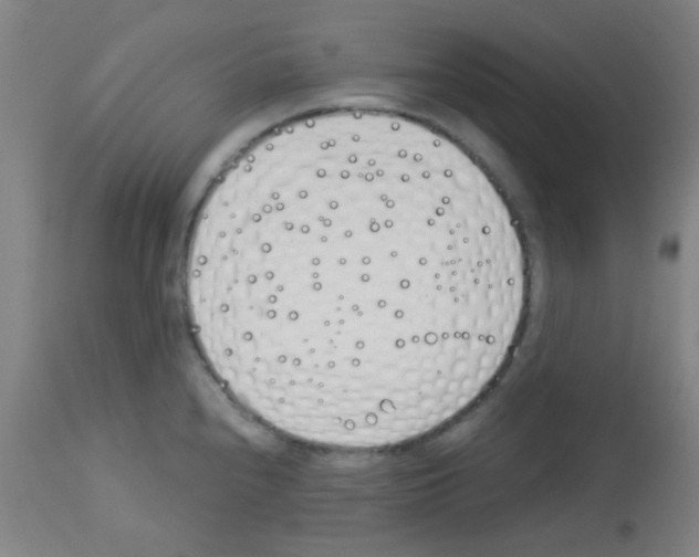 X0000113171240200910161300