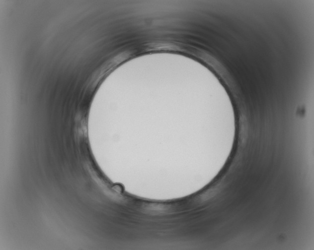 X0000113171241200910161300