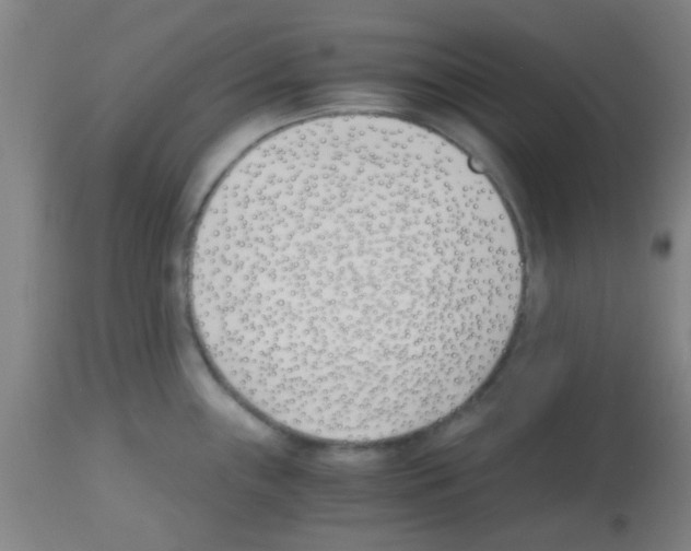 X0000113171243200910161300