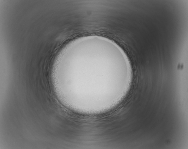 X0000113171249200910161259