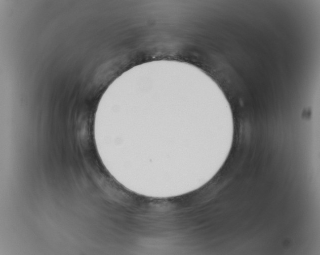 X0000113171250200910161259