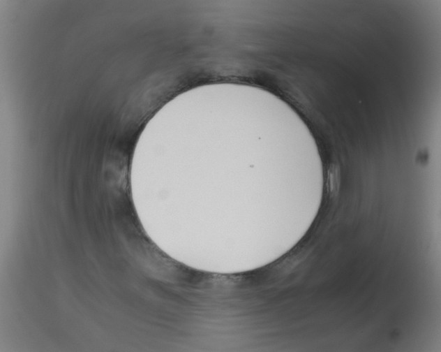 X0000113171251200910161259