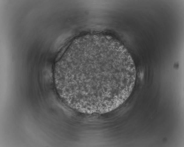 X0000113171252200910161259