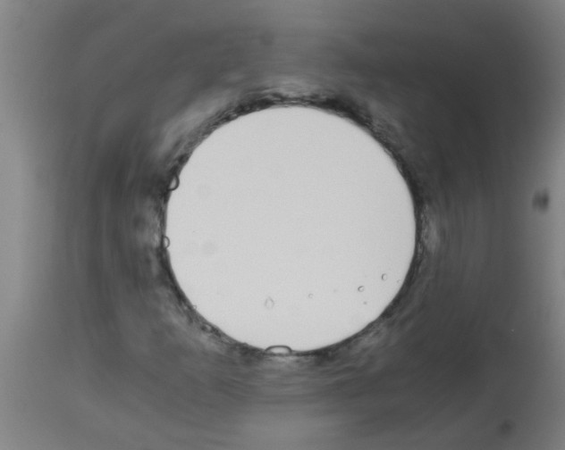 X0000113171253200910161259