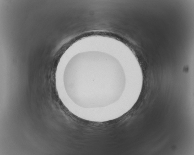X0000113171255200910161259