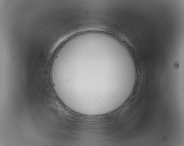 X0000113171256200910161259