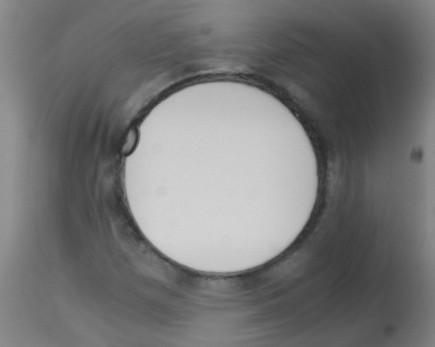 X0000113171257200910161259