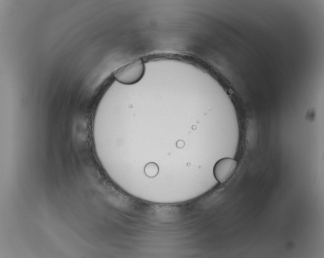 X0000113171258200910161259