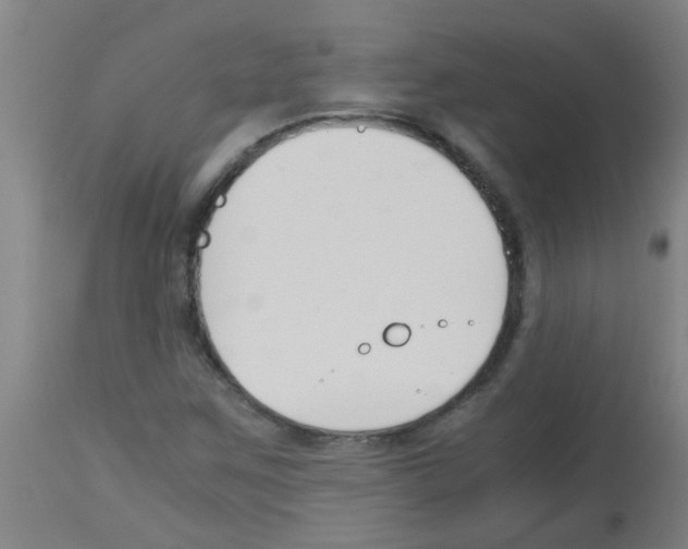 X0000113171259200910161259