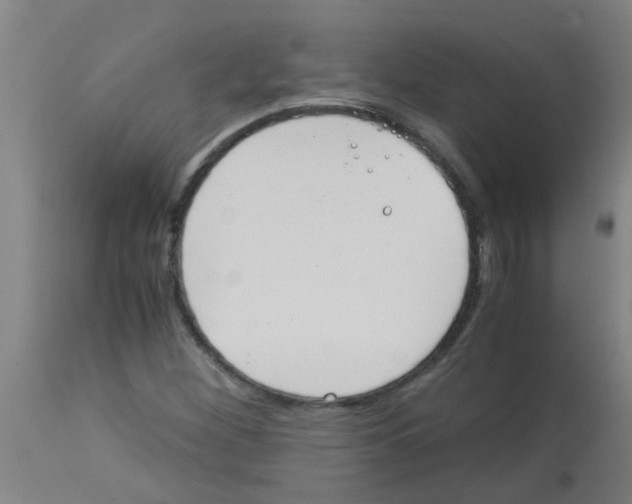 X0000113171260200910161259