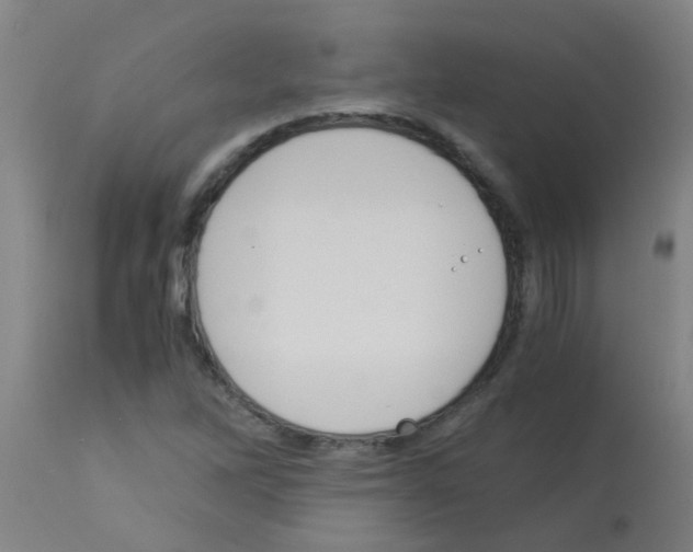 X0000113171262200910161259