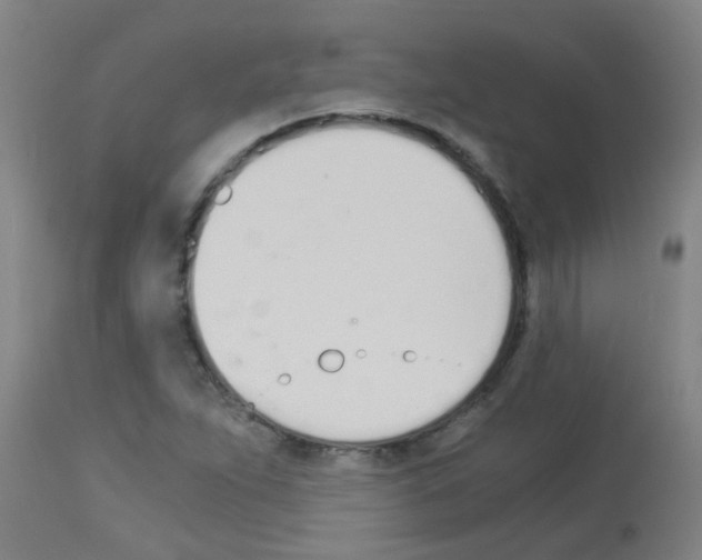 X0000113171263200910161259