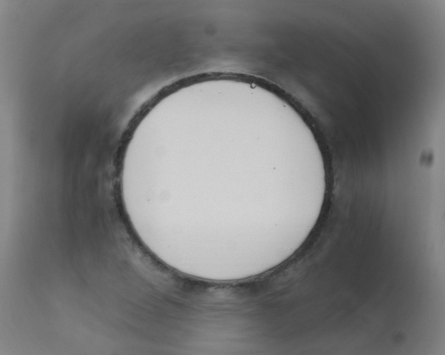 X0000113171264200910161259