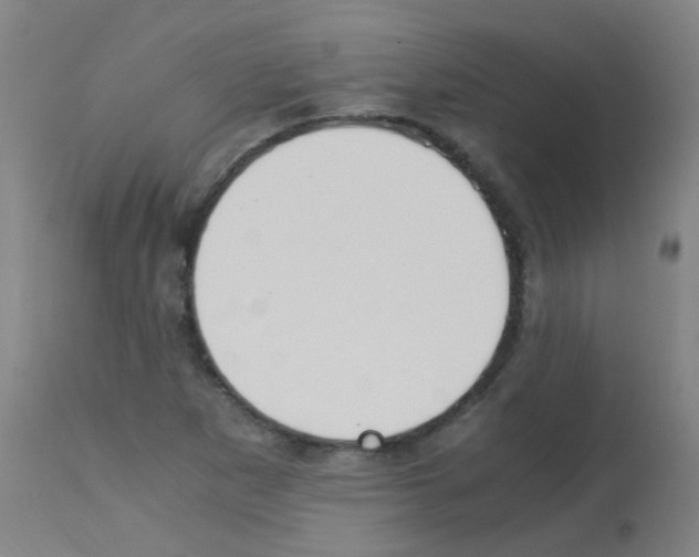 X0000113171265200910161259