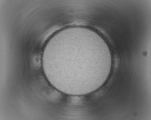 X0000113171266200910161259