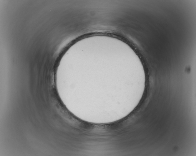 X0000113171267200910161259