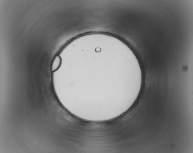 X0000113171270200910161259