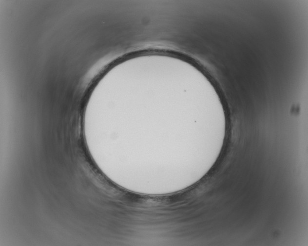 X0000113171271200910161259