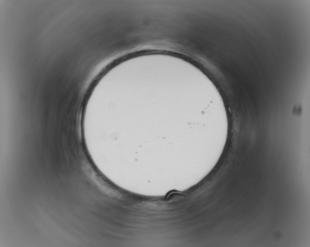X0000113171272200910161259