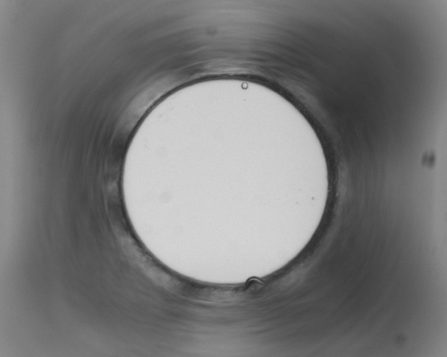 X0000113171273200910161259