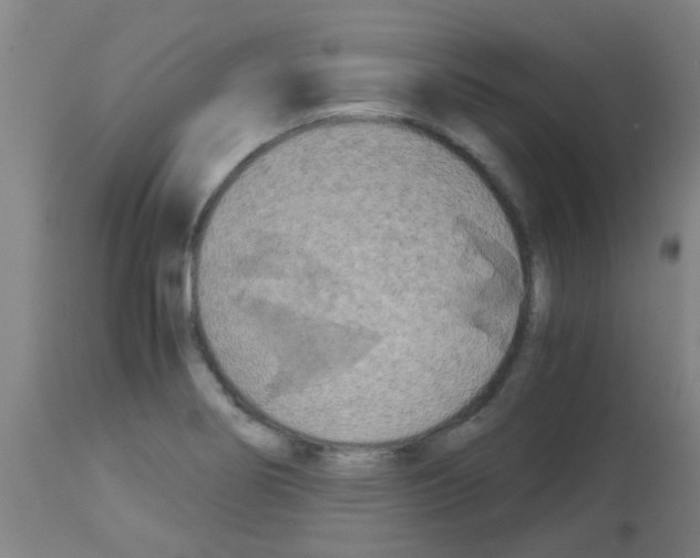 X0000113171274200910161259