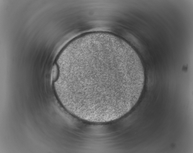 X0000113171276200910161259