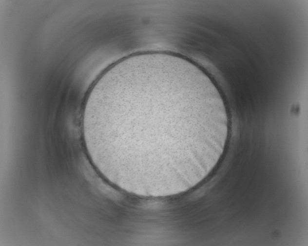 X0000113171278200910161259