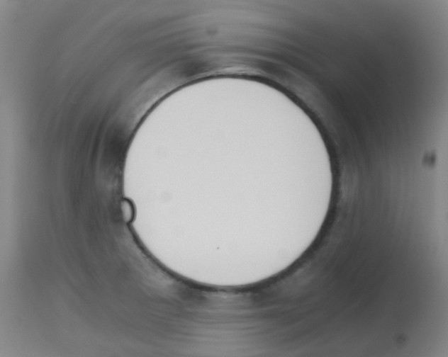 X0000113171281200910161259