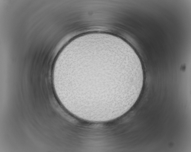 X0000113171283200910161259