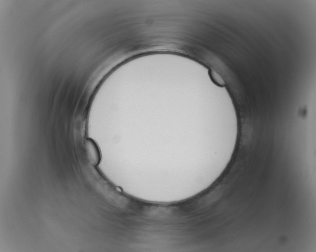 X0000113171284200910161259