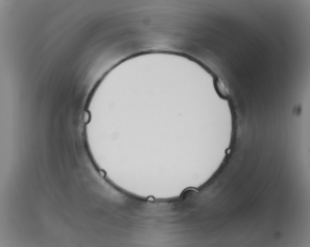 X0000113171285200910161259