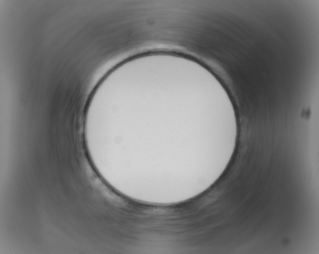 X0000113171287200910161259