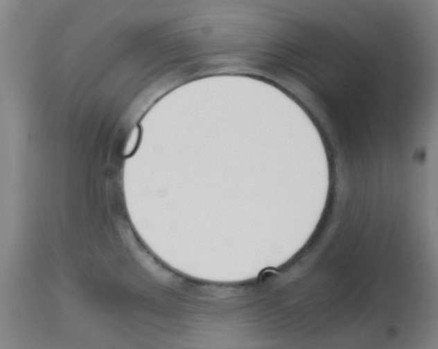 X0000113171289200910161259