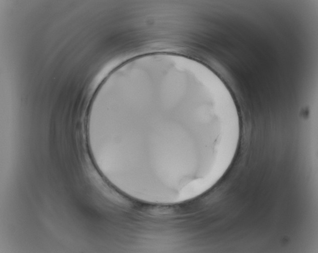 X0000113171291200910161259