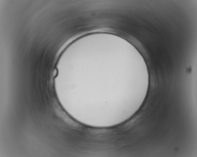 X0000113171292200910161259