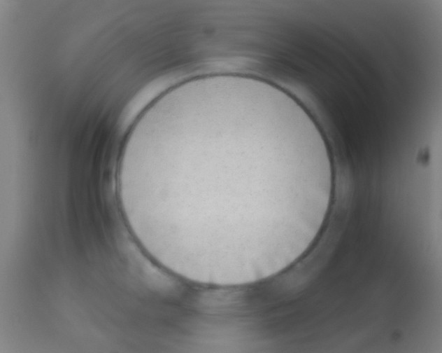 X0000113171294200910161259