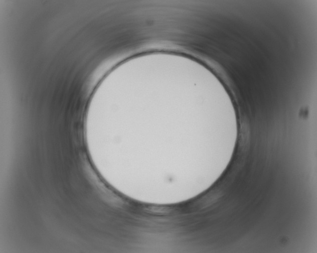 X0000113171295200910161259