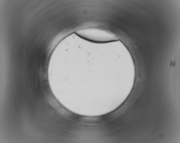 X0000113171296200910161259