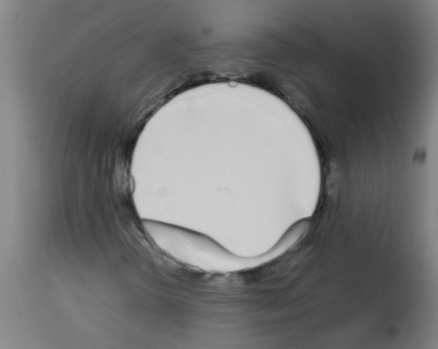 X0000113171298200910161258
