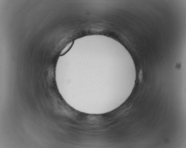 X0000113171299200910161258