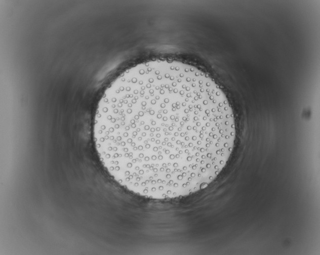 X0000113171301200910161258