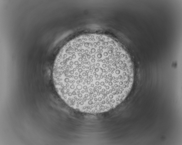 X0000113171302200910161258