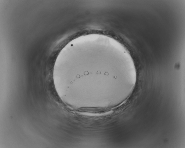 X0000113171303200910161258