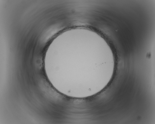 X0000113171306200910161258