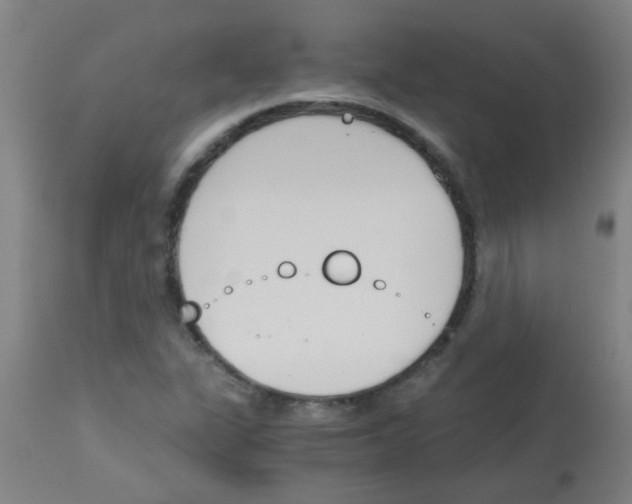 X0000113171311200910161258
